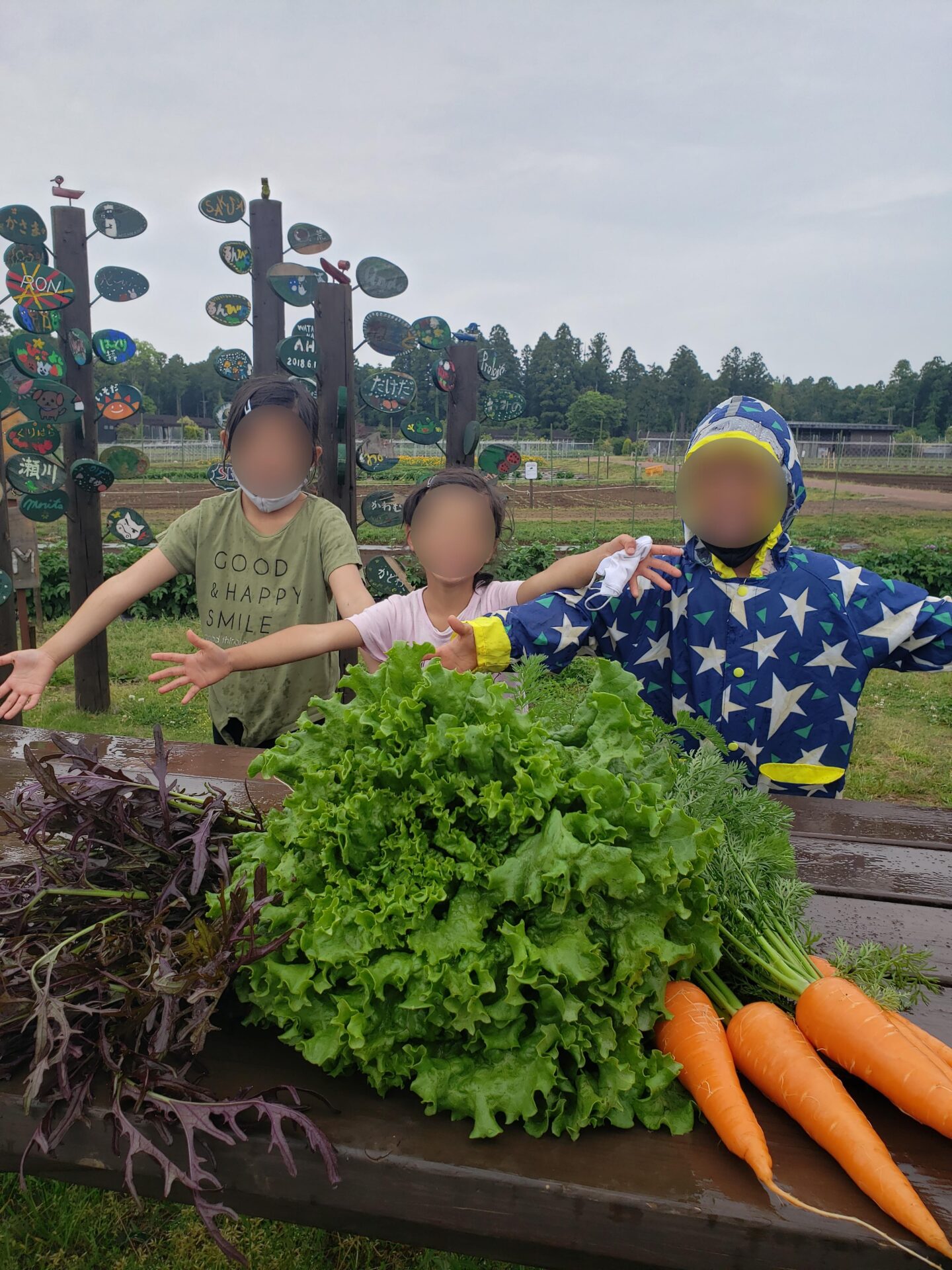 The farmで野菜収穫体験